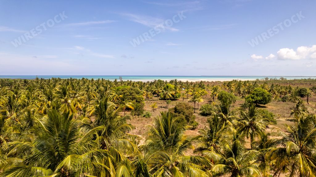 A stunning view captures the beauty of a tropical paradise in Quionga in Cabo Delgado, Mozambique