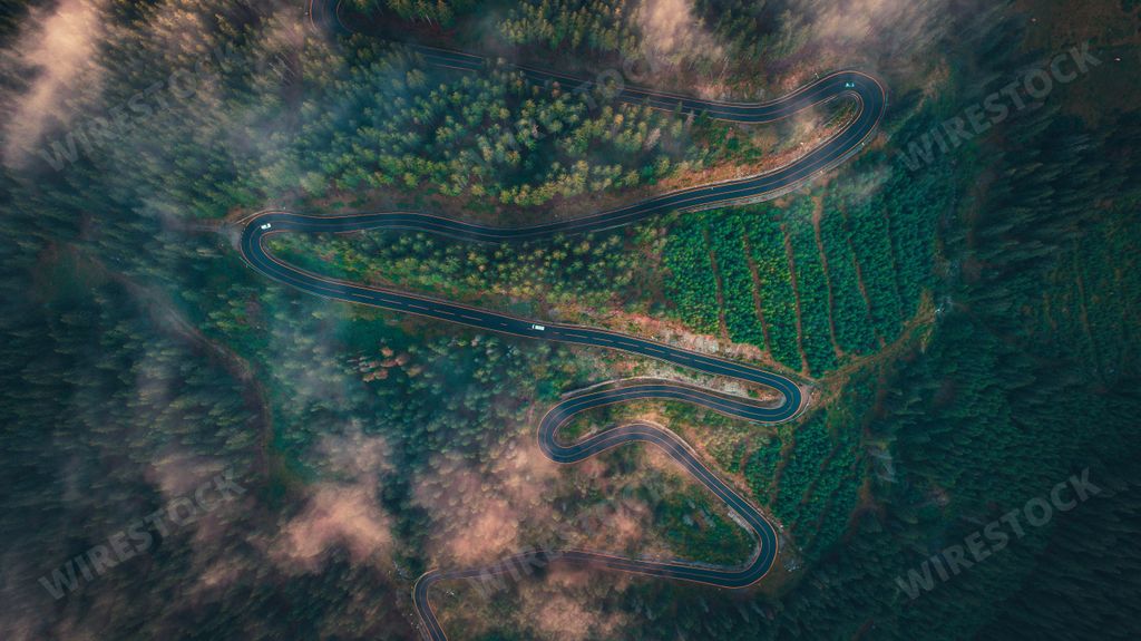 This beautiful road looks like it's driving through the trees