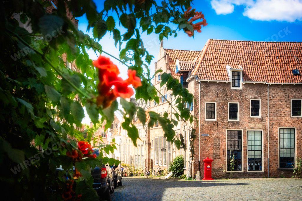 An old street with a line of picturesque houses and a large stone pillar, situated in front of a vibrant flowerbed