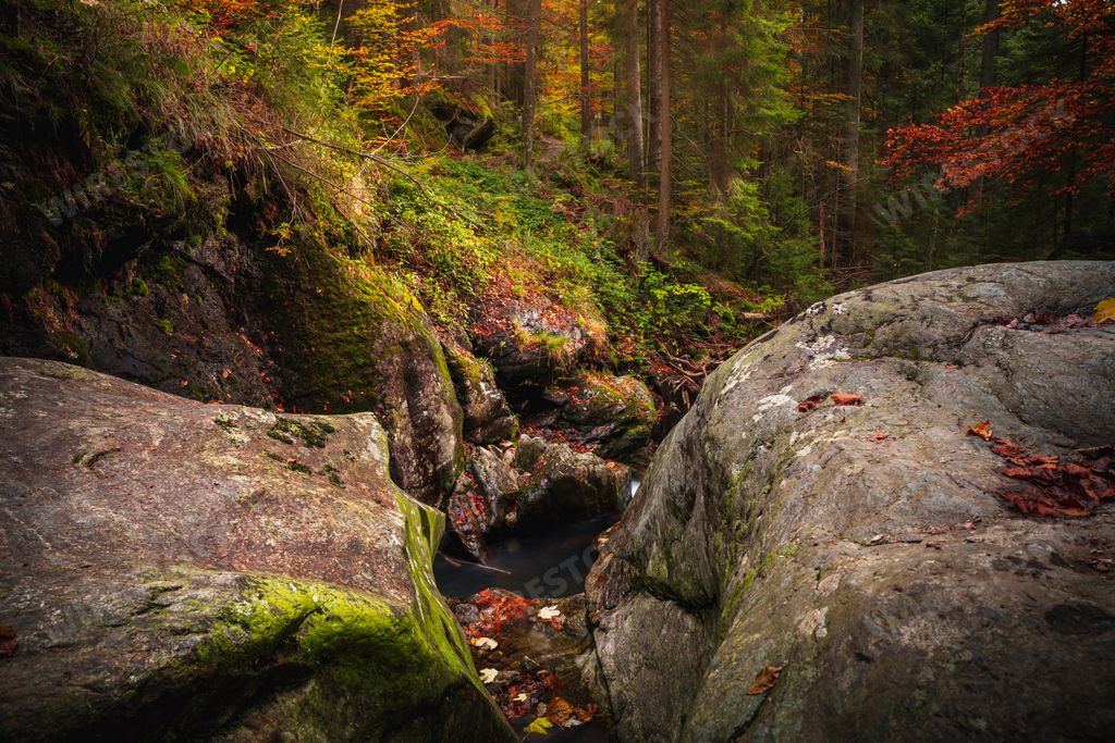 A beautiful view of the river flowing through the bavarian forest near Bodenmais, Germany