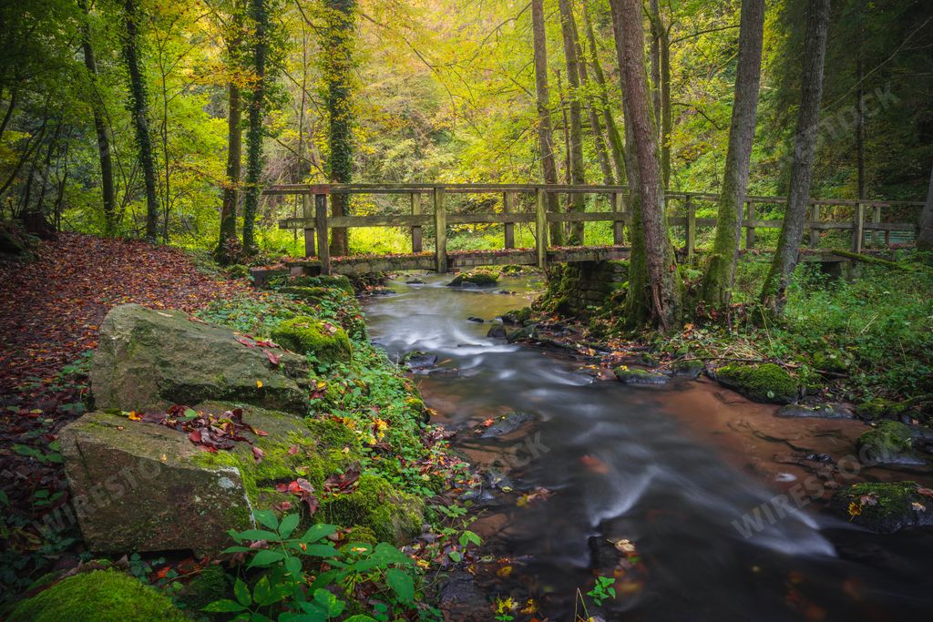 The beautiful hiking destination. Autumn forest in Perlbachtal. Natur- Und Erlebnispfad Perlbachtal.
