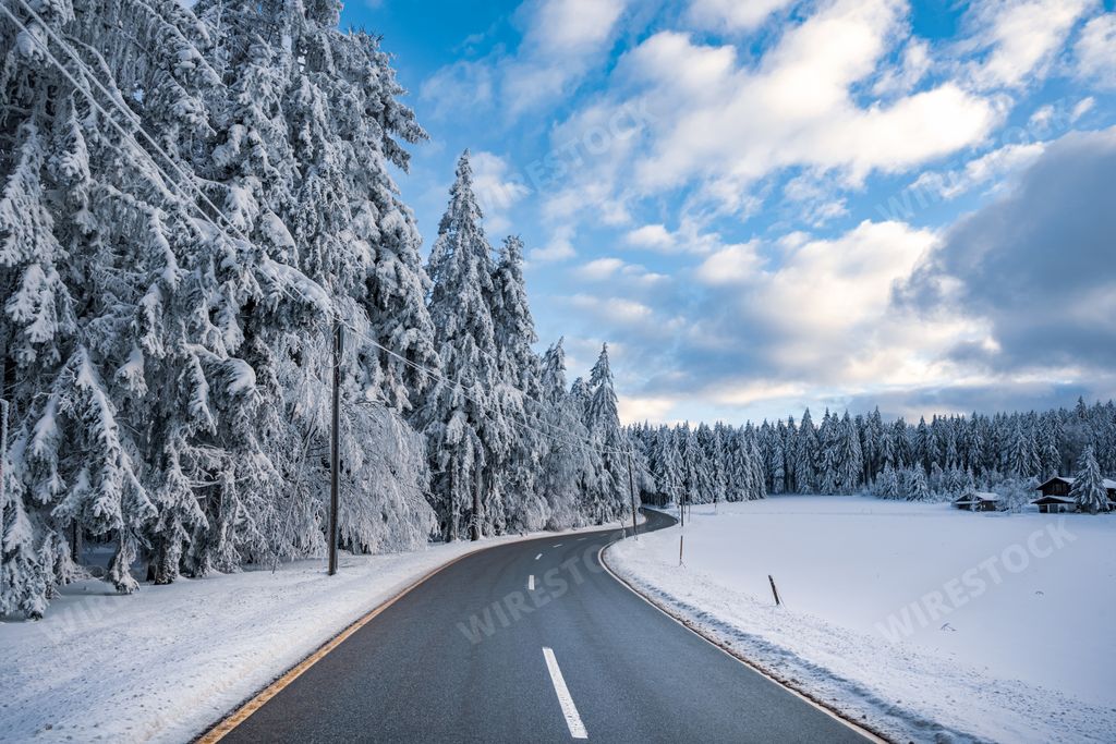 Harsh winter landscape with a smooth road and snow-covered fir trees in the cold Bavarian forest, Germany