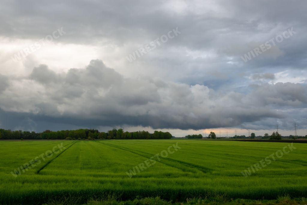 A beautiful landscape with the dramatic cloudy sky over green grass field