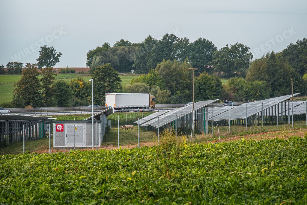 Solar system in the large photovoltaic power plant, solar park, renewable energy, sustainable energy, solar power plant for green electricity.