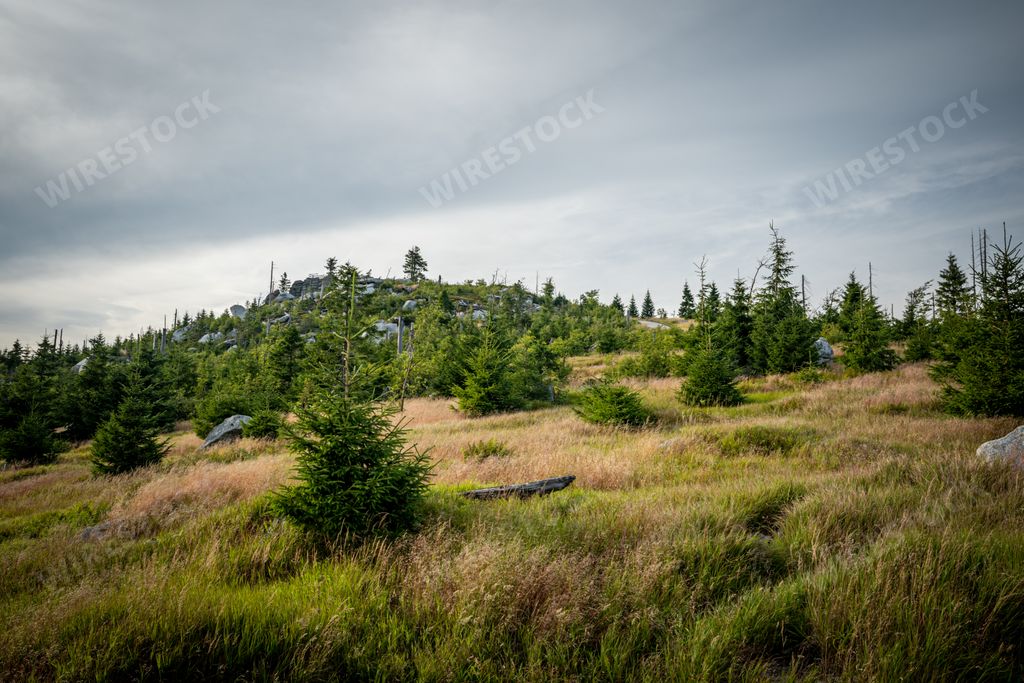 A Beautiful scenery of wide green grass field and green hills under a cloudy blue sky