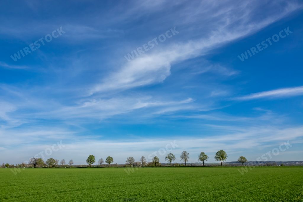 A cloudy blue sky over a green landscape field