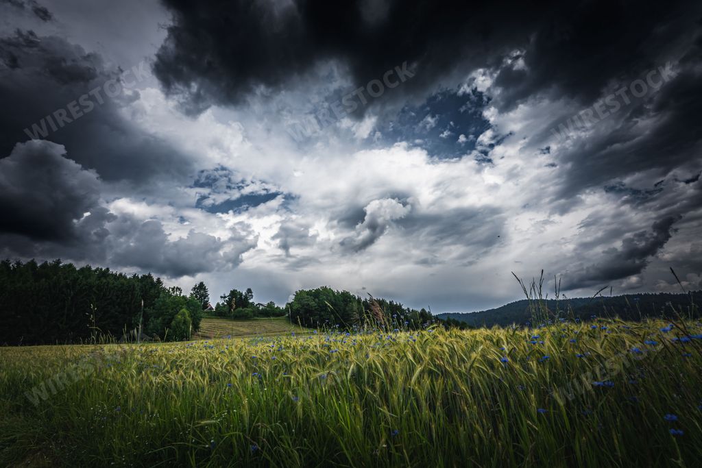 The dramatic thunderclouds over a field with green trees in the background