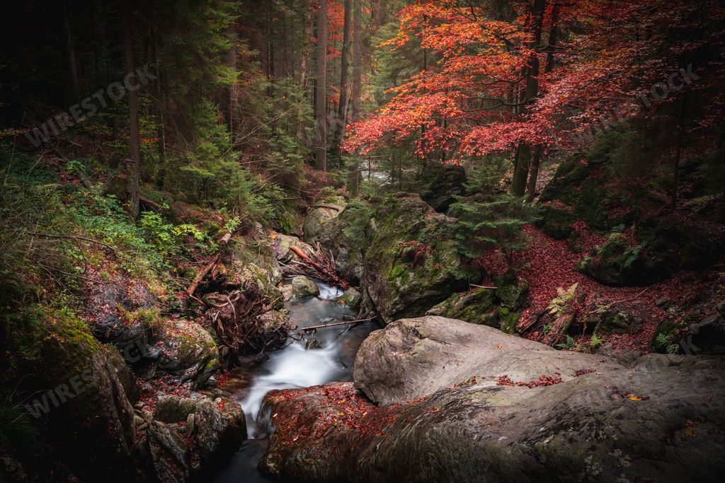 A beautiful view of the river flowing through the bavarian forest near Bodenmais, Germany