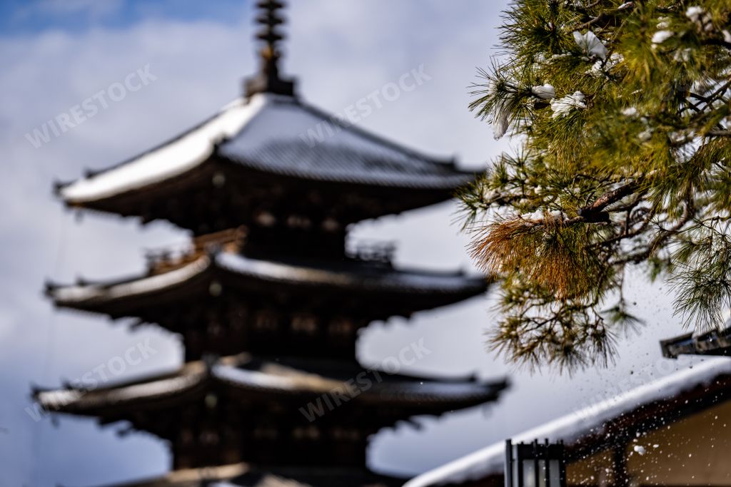A Tree with Snow Covered Yasaka Pagoda from Sannen Zaka Street in the old town district of Kyoto, Japan