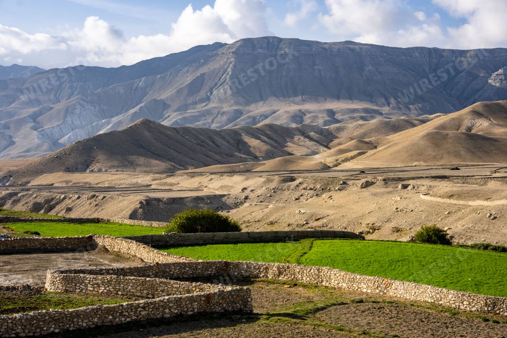 A beautiful view of the green farm and Himalayas mountains in the background in Nepal