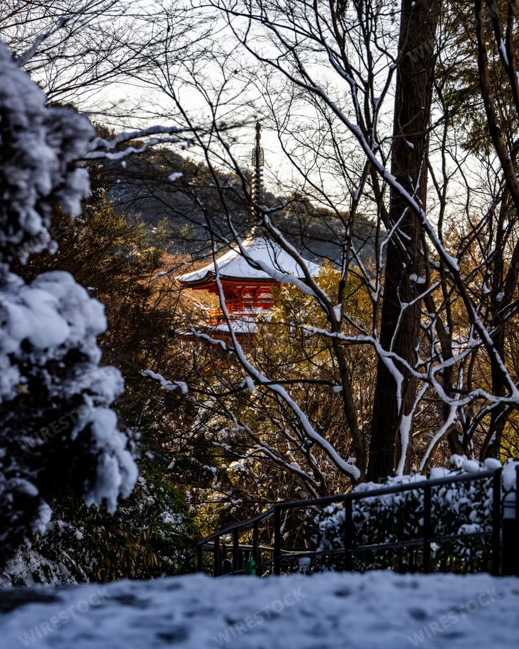 The view of Kiyomizudera Koyasunoto Pagoda surrounded by lush trees in winter. Kyoto, Japan