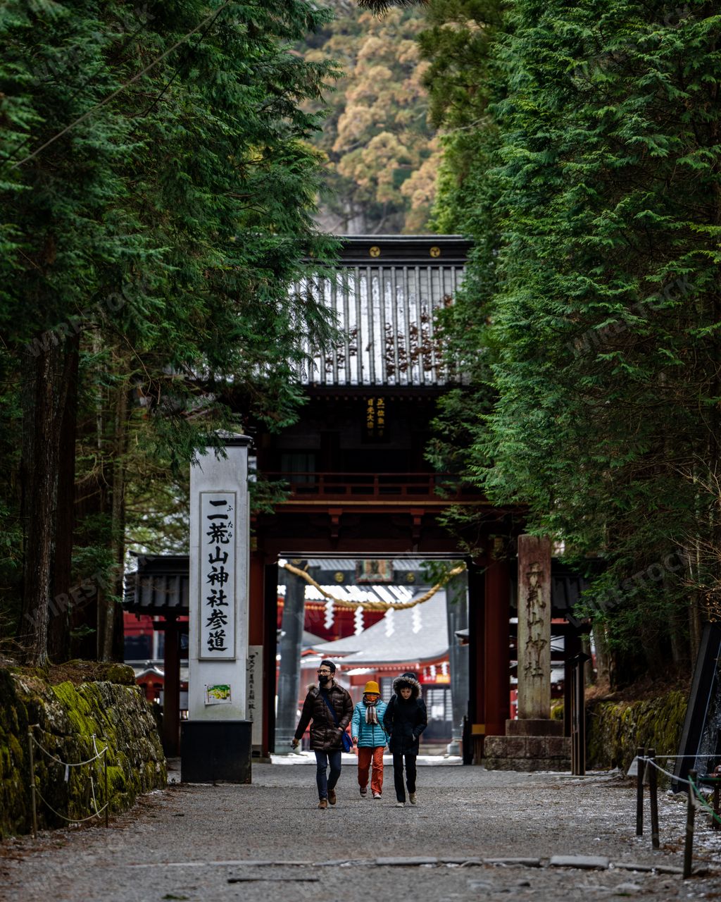 A traditional Japanese temple gate surrounded by tall trees leading to a shrine in Nikko, Japan