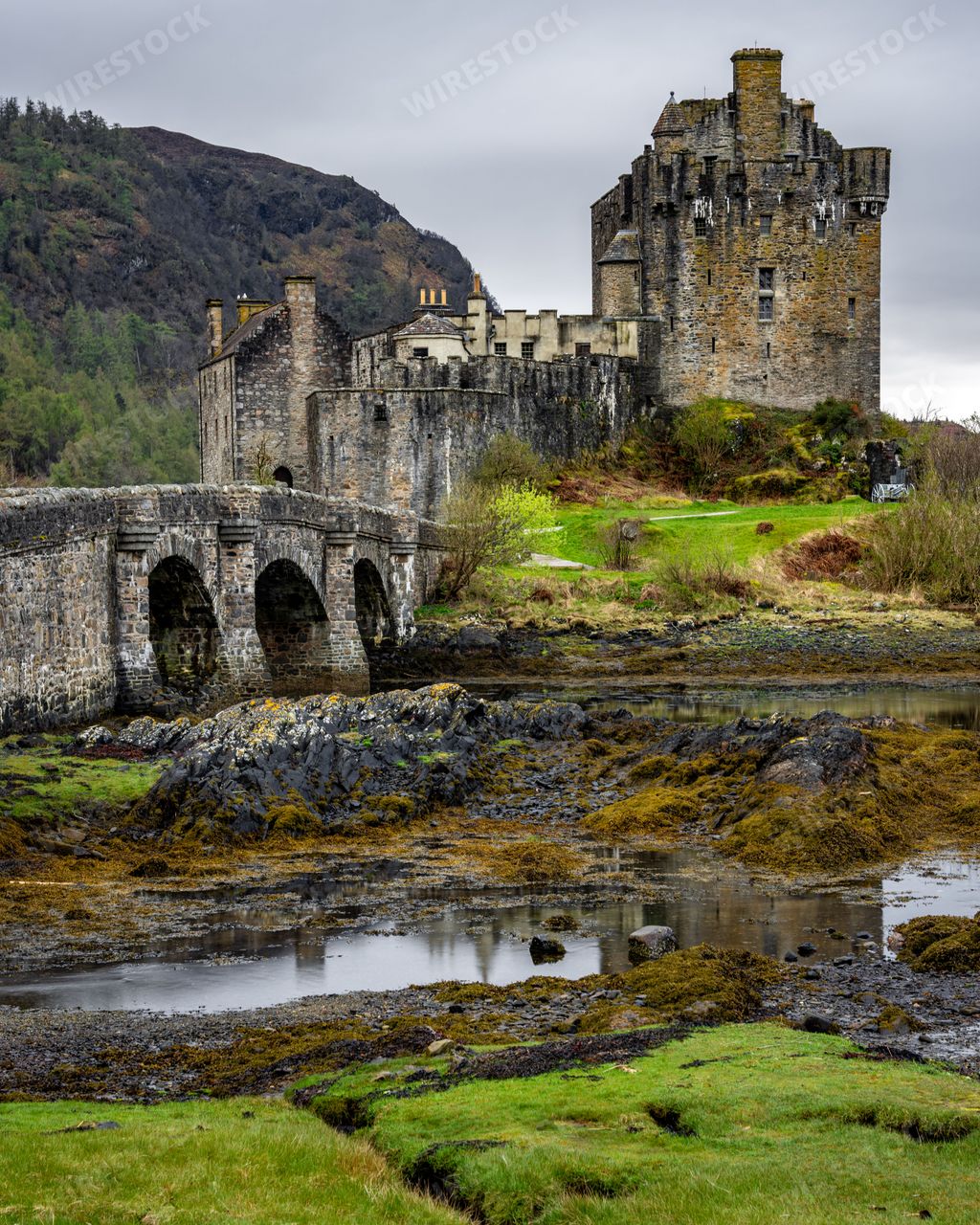 A vertical shot of a bridge and the Eilean Donan Castle in the Western Scottish Highlands