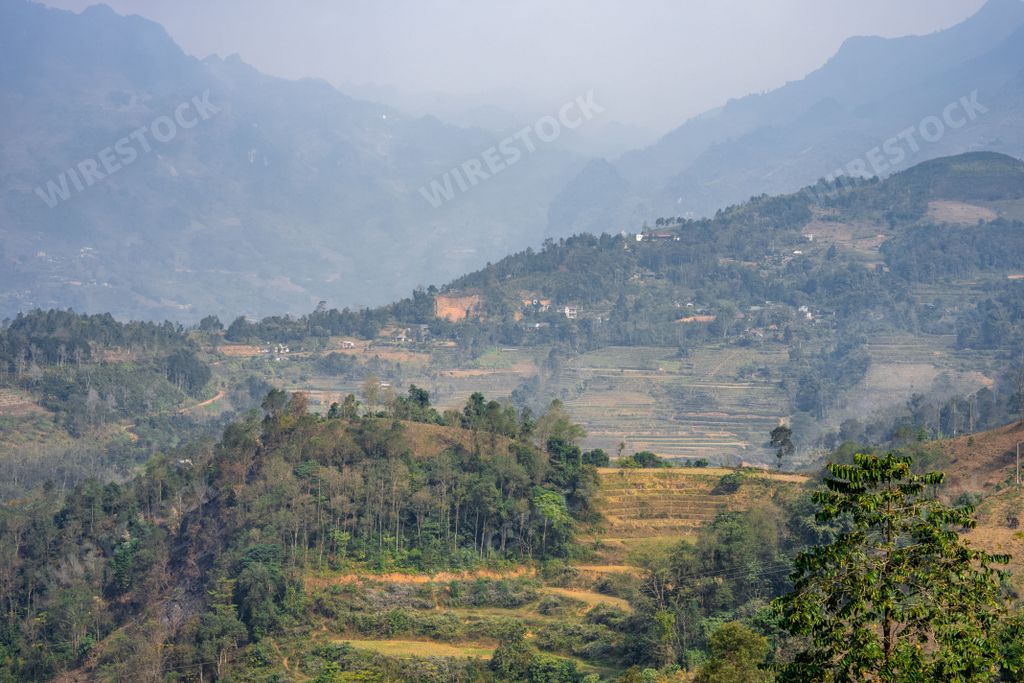 A scenic landscape of lush green mountain trees with a few trees in the foreground, set against a bright blue sky