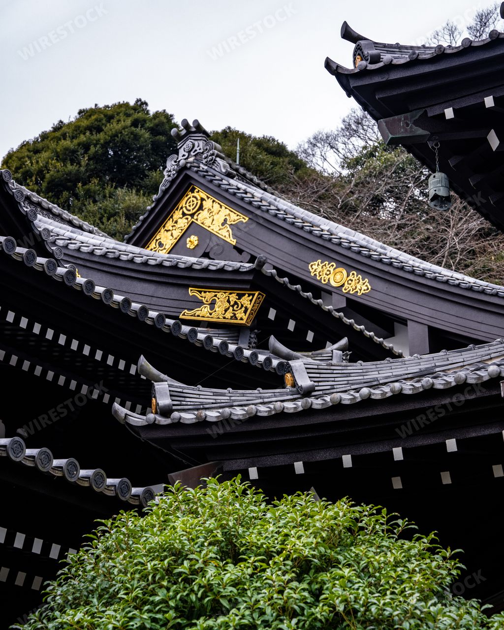 A Hasadera Buddhist Temple in Kamakura Japan
surrounded by lush greenery and illuminated by bright red lanterns