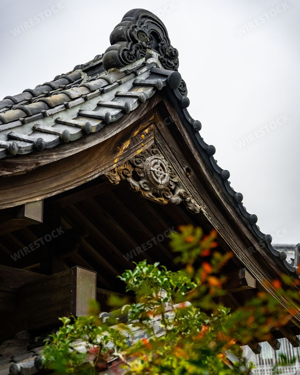 A Hasadera Buddhist Temple in Kamakura Japan
surrounded by lush greenery and illuminated by bright red lanterns