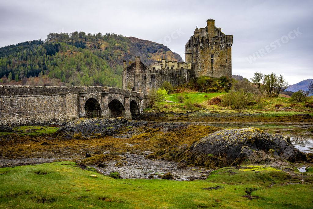 A beautiful view of a landscape with an old castle and a forest in the distance