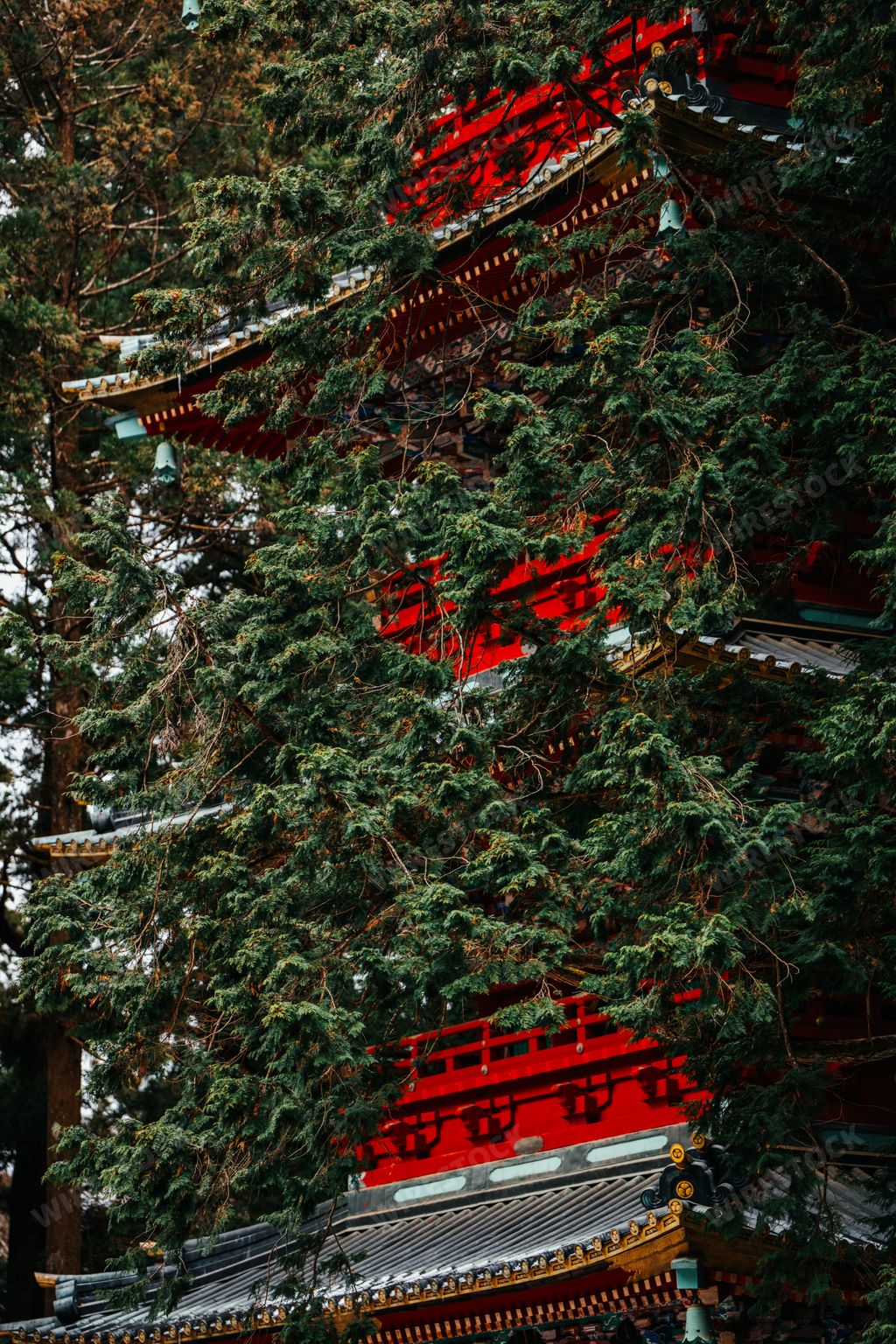 A Stunning vertical shot of massive Gojunoto (five story pagoda) hidden in Japanese forest trees at the Nikko Toshog shrine in Nikko Japan