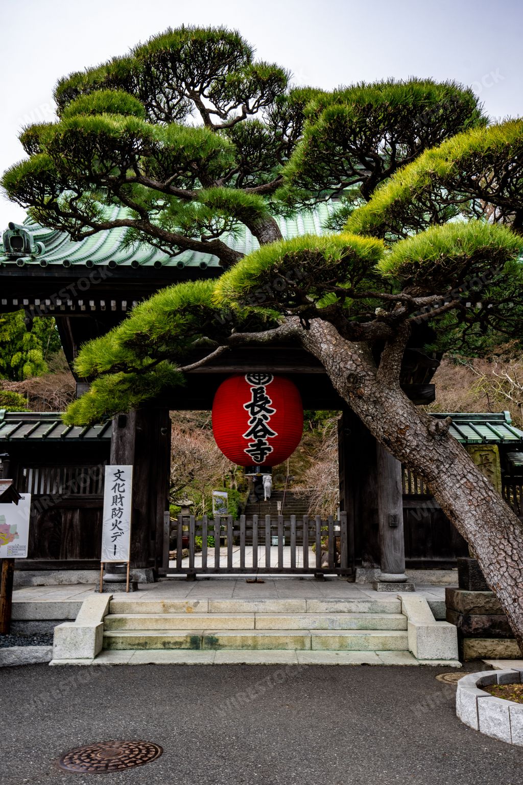 A Hasadera Buddhist Temple in Kamakura Japan
surrounded by lush greenery and illuminated by bright red lanterns