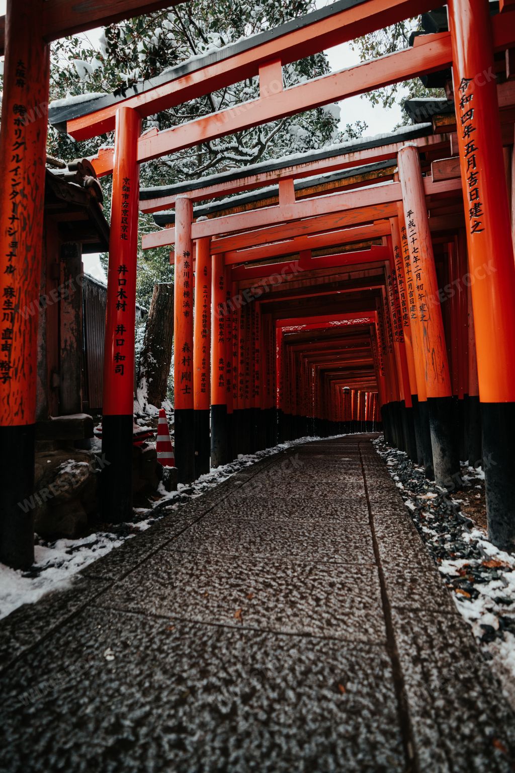 A Rare Winter snow at Torii Gate Tunnel at Fushimi Inari Shrine in Kyoto Japan. Orange and black beams with traditional Japanese Lanterns