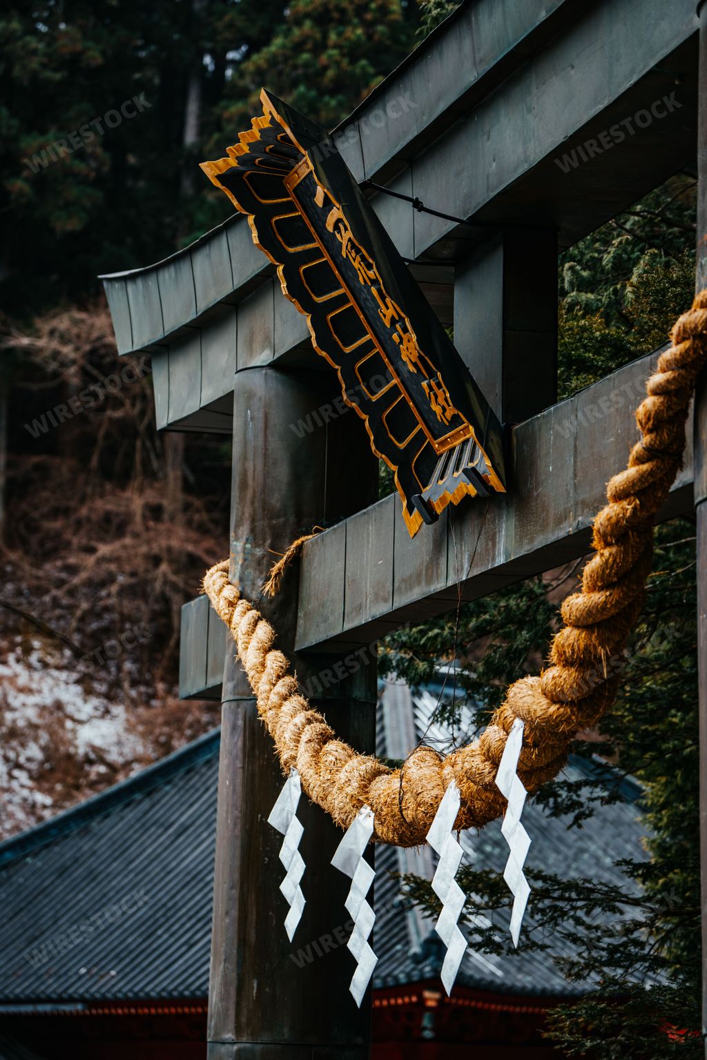 A close-up of a traditional Japanese torii gate adorned with a shimenawa rope and shide paper streamers in a forest setting.