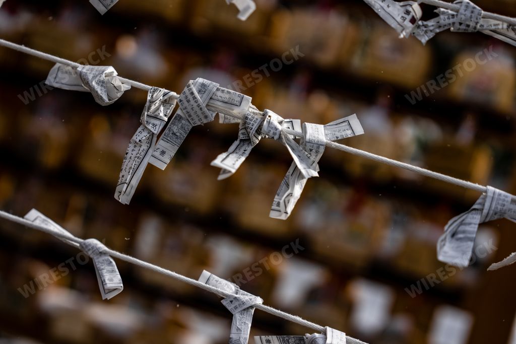 An Omikuji (fortunes written on papers sold at Japanese Shrines) tied up on a special omikujigake under a pine at Kinkaku Ji temple