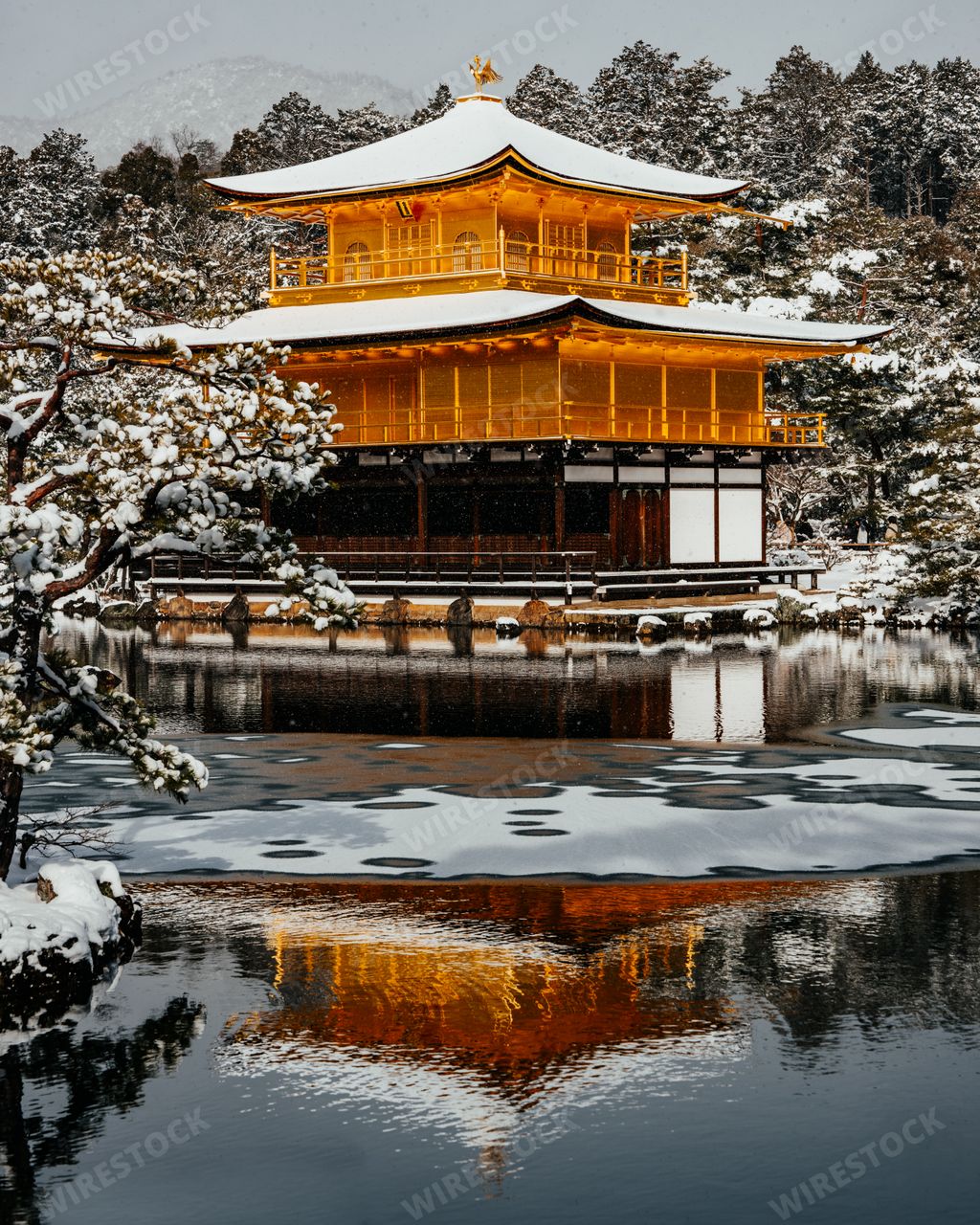 the Zen Buddhist Golden Pagoda (Kinkakuji) of Kyoto, Japan covered in snow with reflections in the lake. Rare heavy snow covered the area.