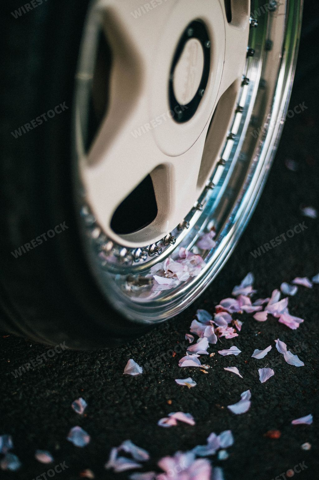A closeup shot of a car wheel with small pink flower petals surrounding it