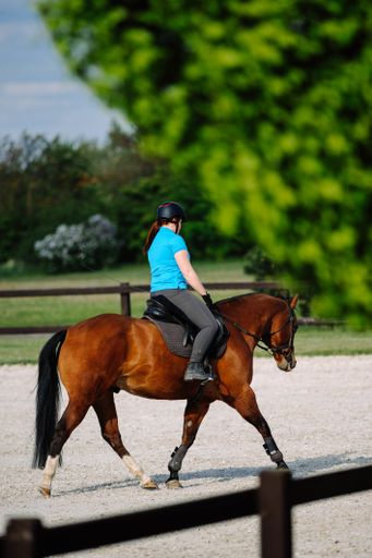 Vertical shot of a female rides a horse on the background of the forest ...