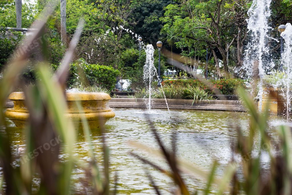 View of the fountain, among the leaves, in the Campo Grande Square, also known as Praca 2 de Julho. Salvador city.