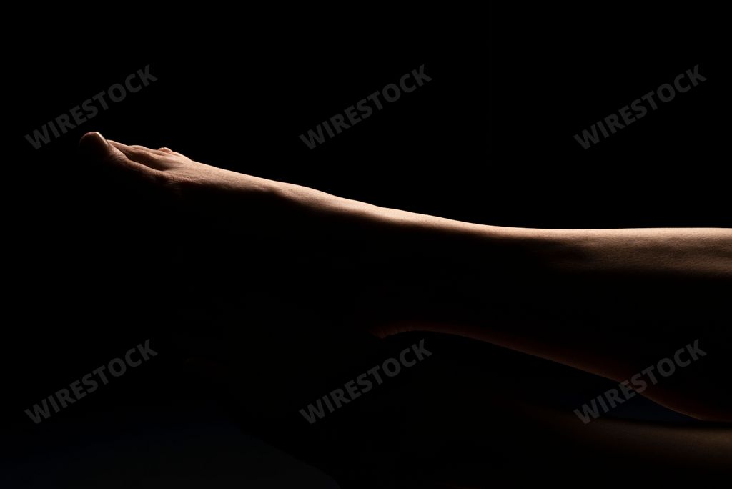 Female Nude silhouette. Part of the womans legs. Sexy mature woman. Young adult with Naked Body.