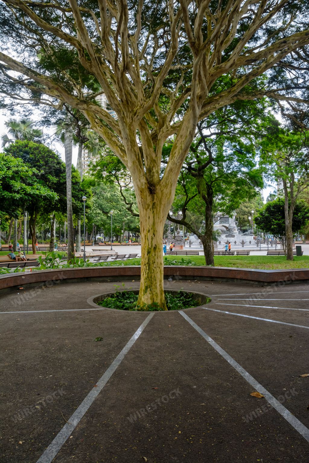 Campo Grande square. Also known as Praca 2 de Julho, it was the scene of important battles for the independence of Bahia, a Brazilian state.