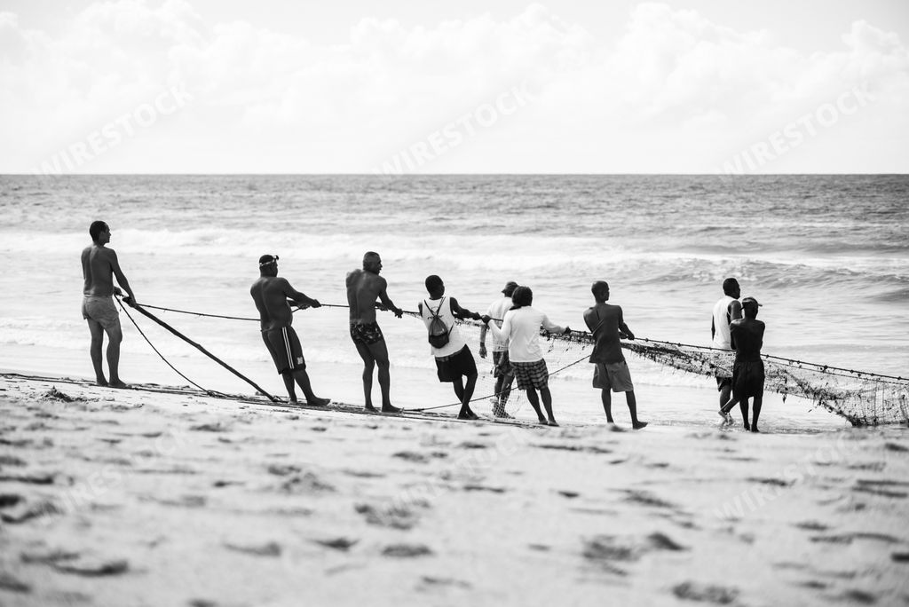 A grayscale of Fishermen pulling the fishing net from the sea with fish inside Rio beach in Salvador