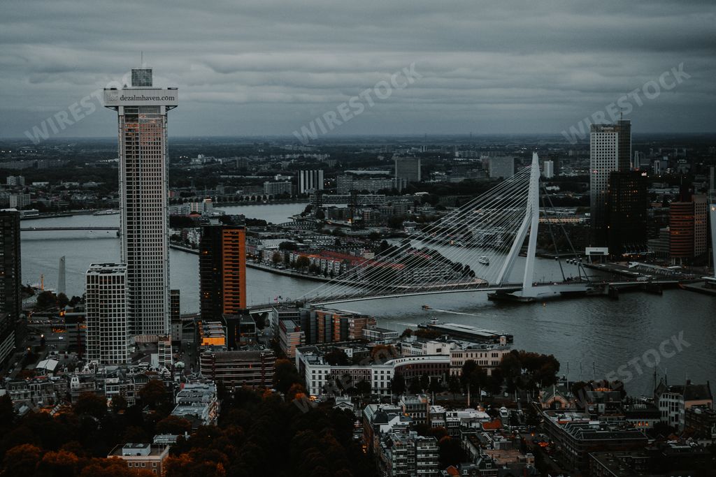 A bird's eye view of a suspension bridge and skyscrapers in Rotterdam, the Netherlands