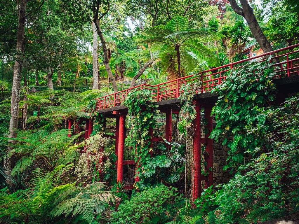 The bridge in Monte Palace Tropical Garden, Funchal Portugal during daylight