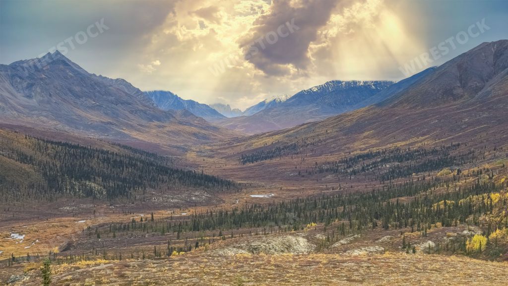 Canada, Yukon, view of the tundra in autumn, with mountains in background, beautiful landscape in a wild country