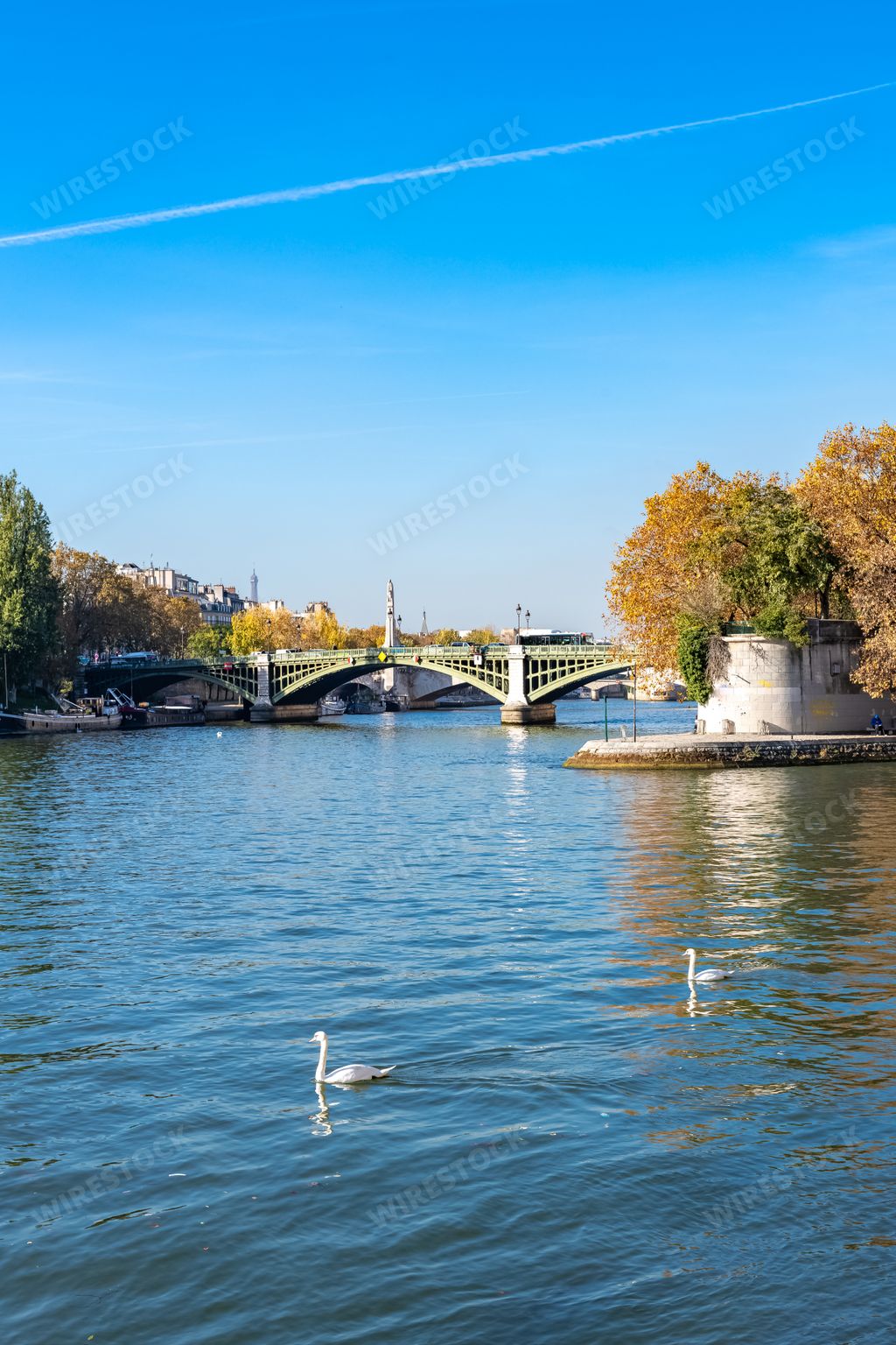 Paris, the Tournelle bridge, and the ile Saint-Louis, with swans on the Seine