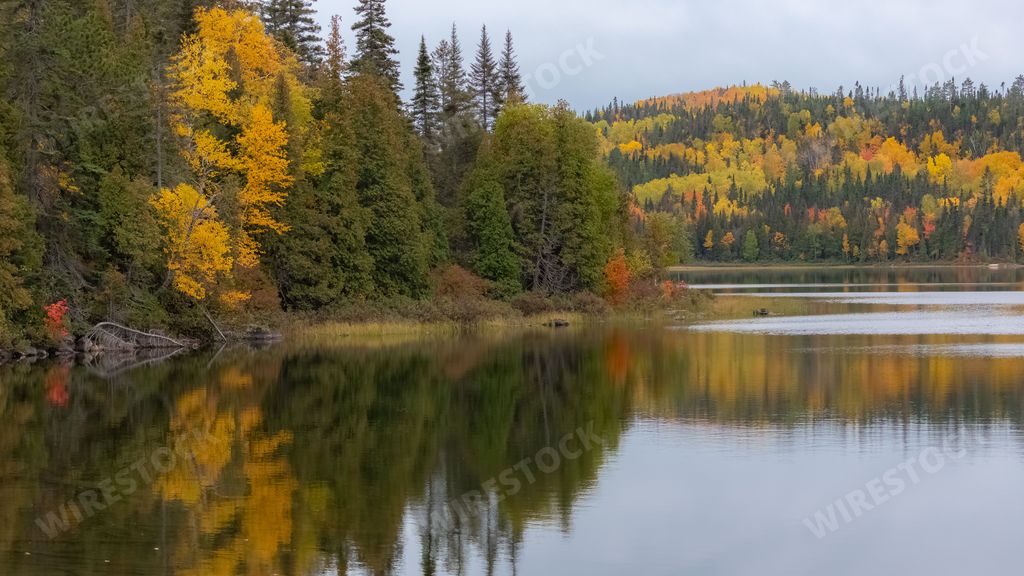 A forest in Canada, during the autumn, beautiful colors of the trees