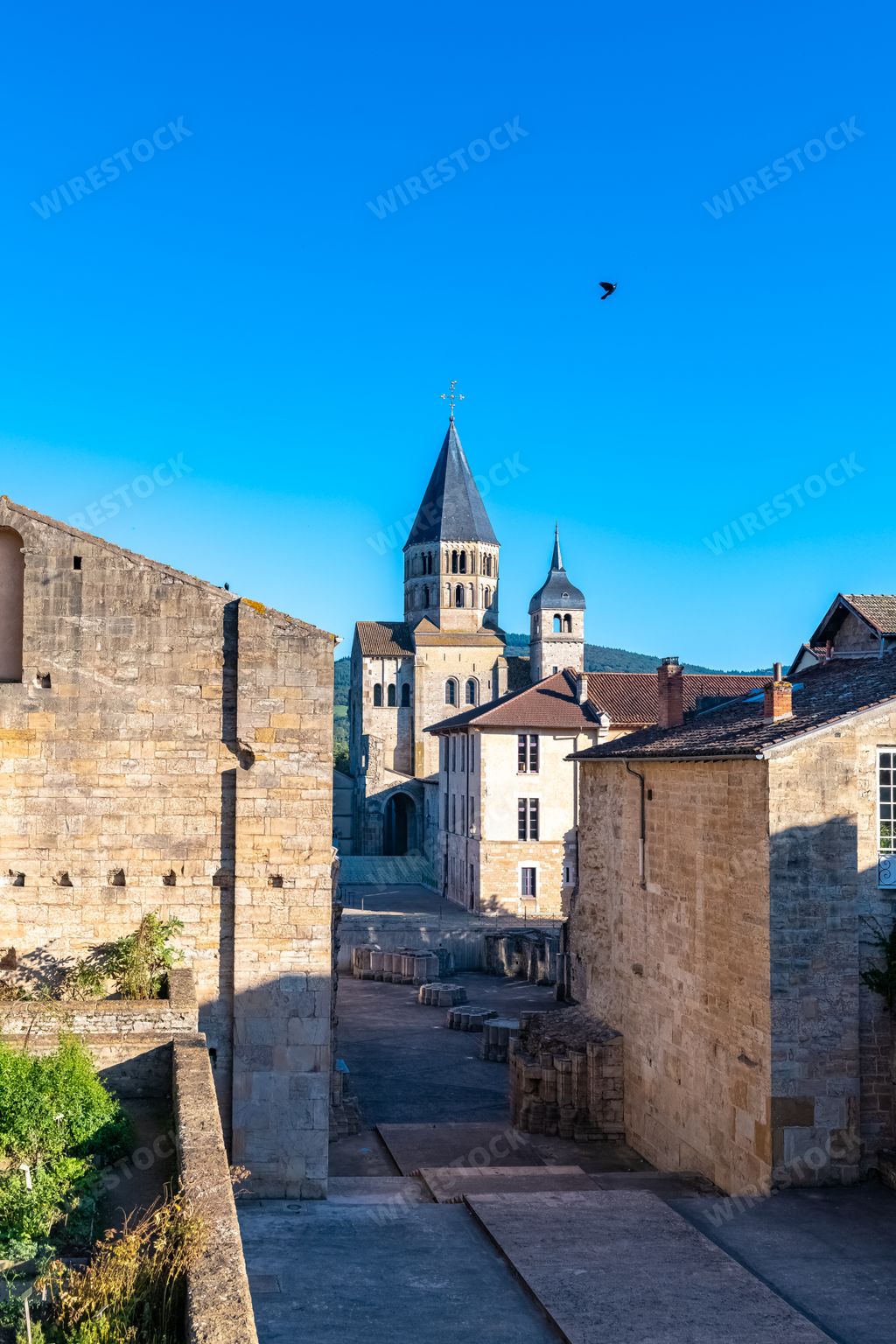 Cluny abbey, medieval monastery in Burgundy, France