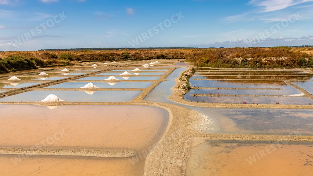 Guerande in Brittany, panorama of the the salt marshes