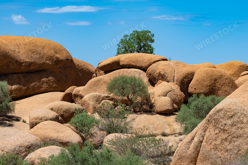 Namibia, landscape in Damaraland, with trees growing on big rocks