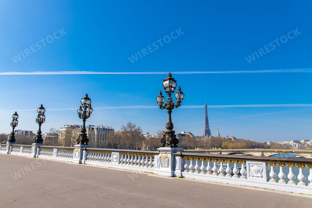 Paris, the Alexandre III bridge on the Seine, with the Eiffel Tower in background