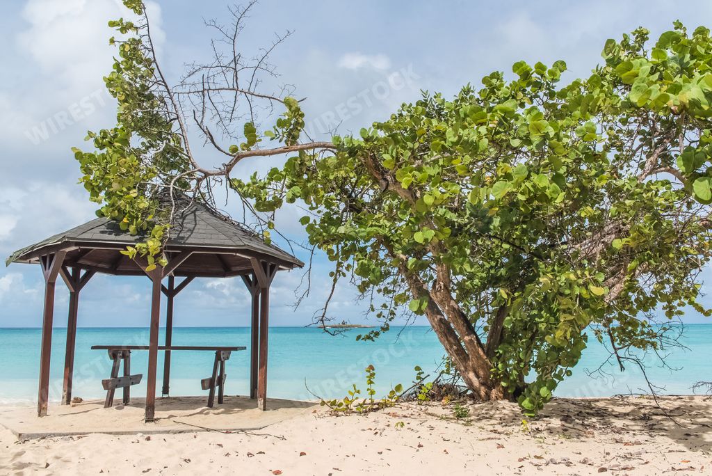 Guadeloupe, beautiful pink sand beach in Marie-Galante island, wooden shelter on the beach