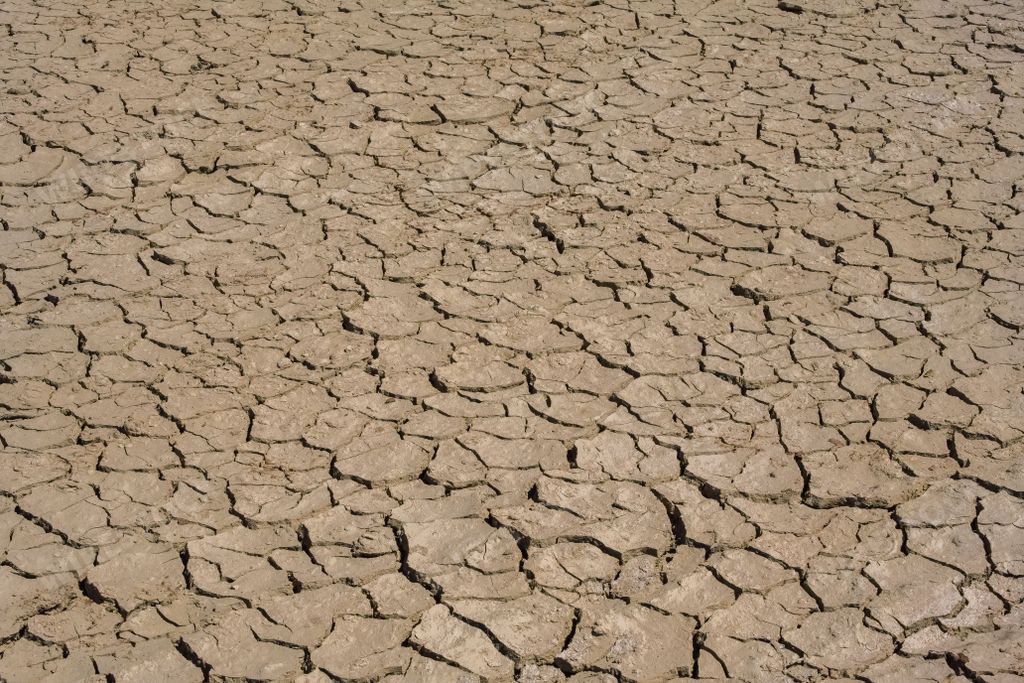 Dry cracked earth in a desert landscape, showcasing the effects of drought and climate change.
