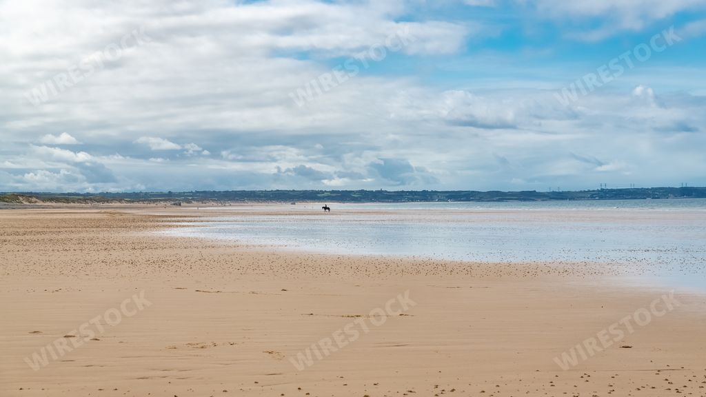 Beautiful beach at Vauville in Normandy, with a horse in background