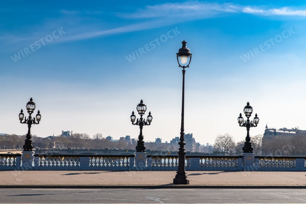 Paris, the Alexandre III bridge on the Seine, with the Eiffel Tower in background
