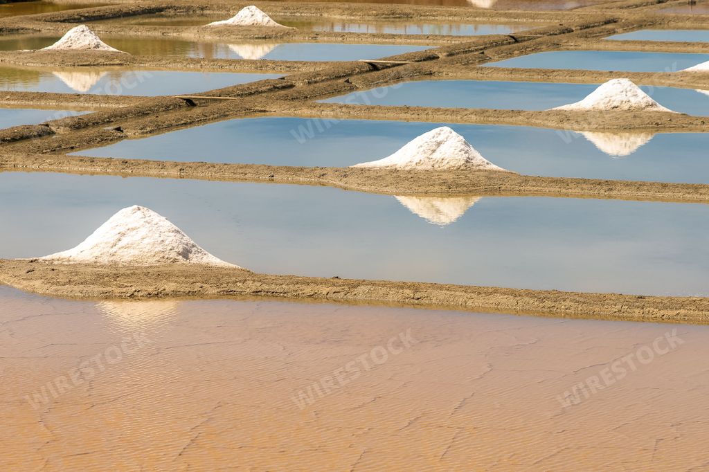 Guerande in Brittany, panorama of the the salt marshes