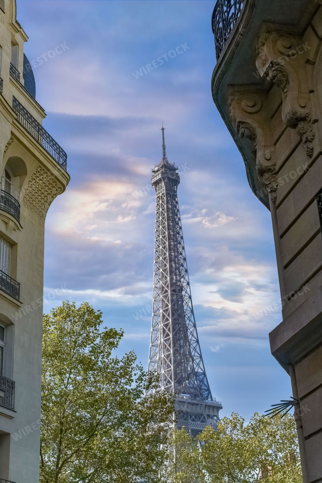 Paris, beautiful Haussmann facades in a luxury area of the capital, with the Eiffel Tower in background, avenue Rapp