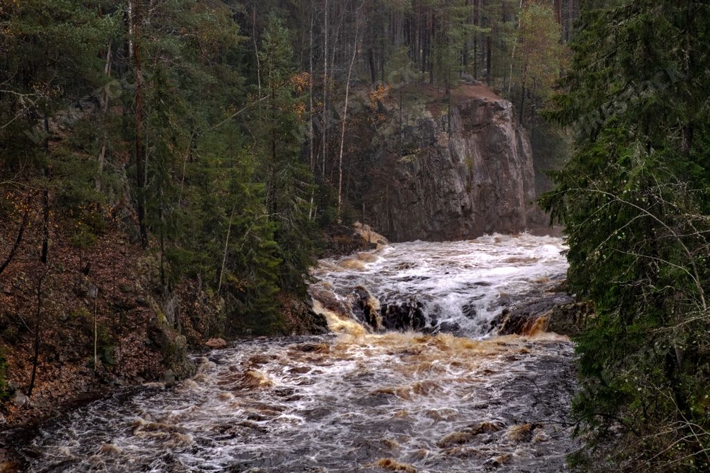 The foamy river rushing through the rocks in the forest