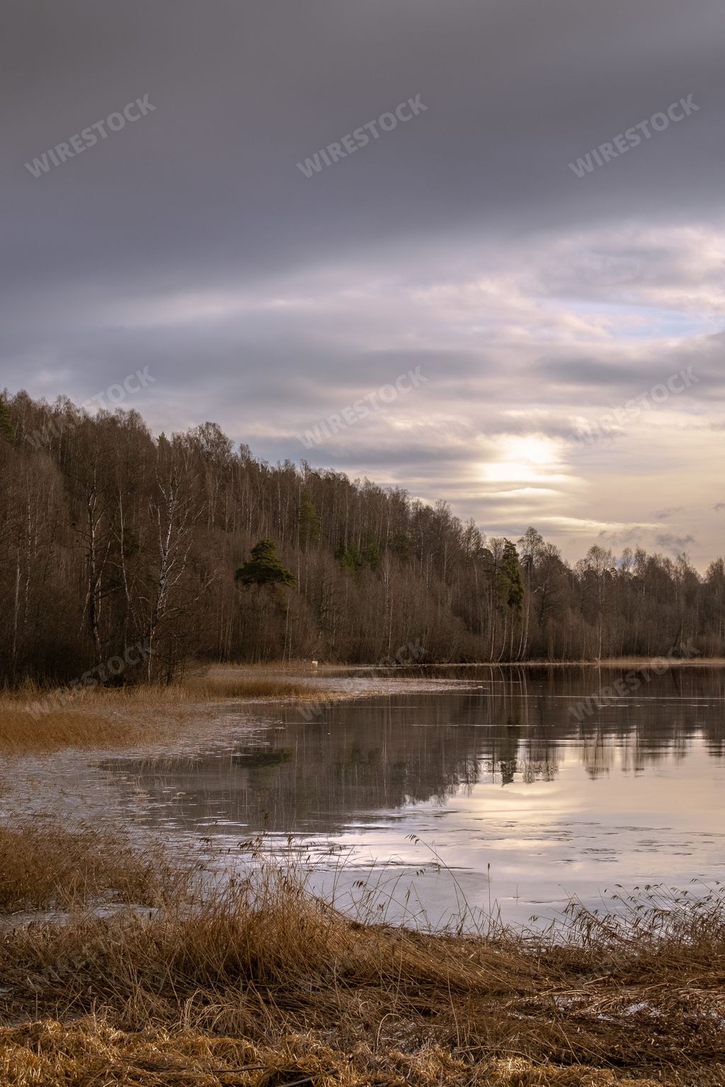 A vertical shot of a lake with a cloudy sunny sky in the background